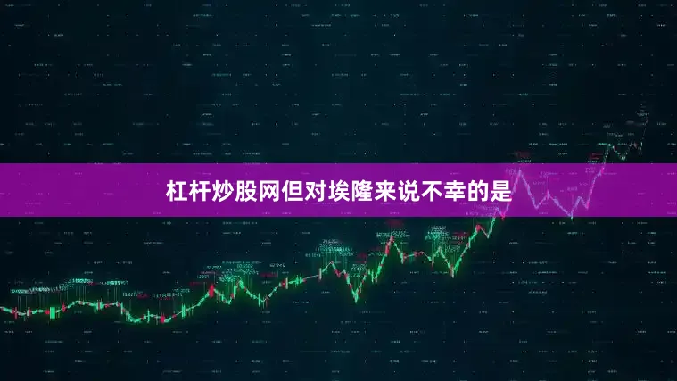 杠杆炒股网但对埃隆来说不幸的是
