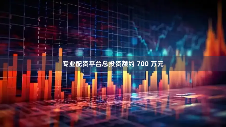 专业配资平台总投资额约 700 万元