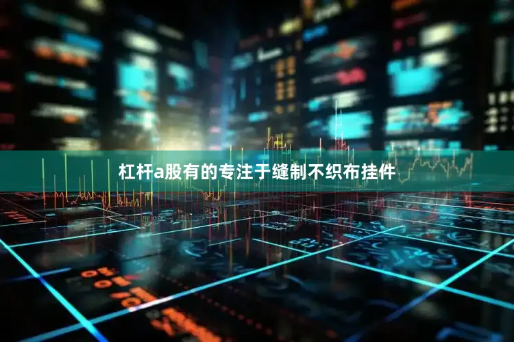 杠杆a股有的专注于缝制不织布挂件