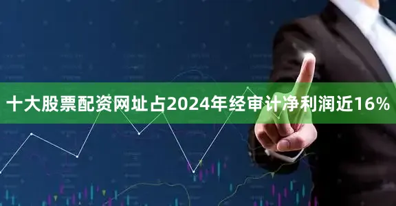 十大股票配资网址占2024年经审计净利润近16%